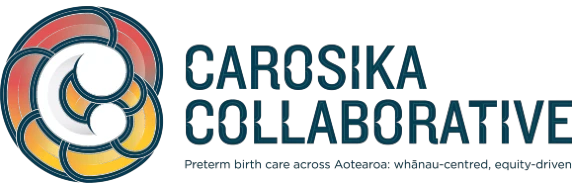 Taonga Tuku Iho Logo